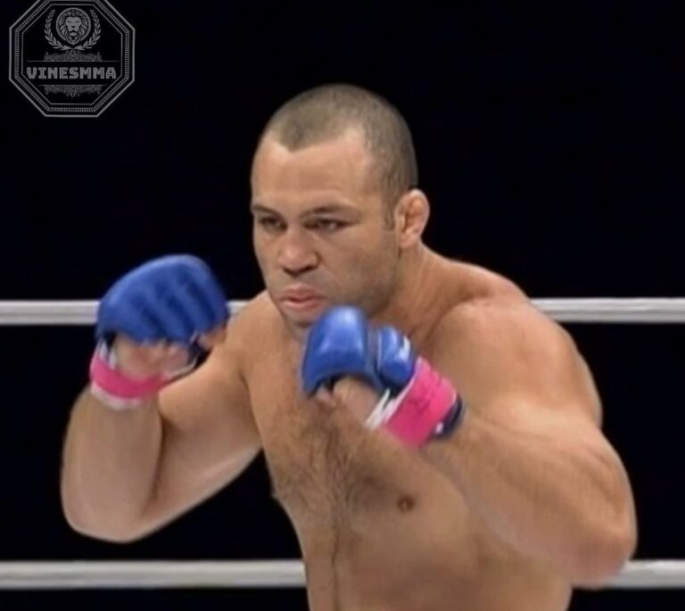 Wanderlei Silva in fight